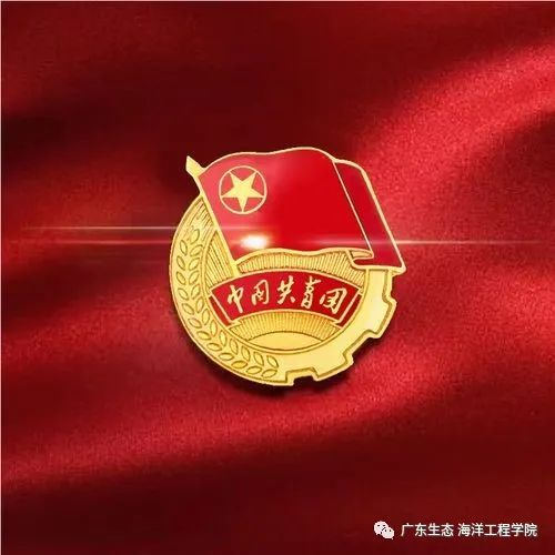 图片12.png