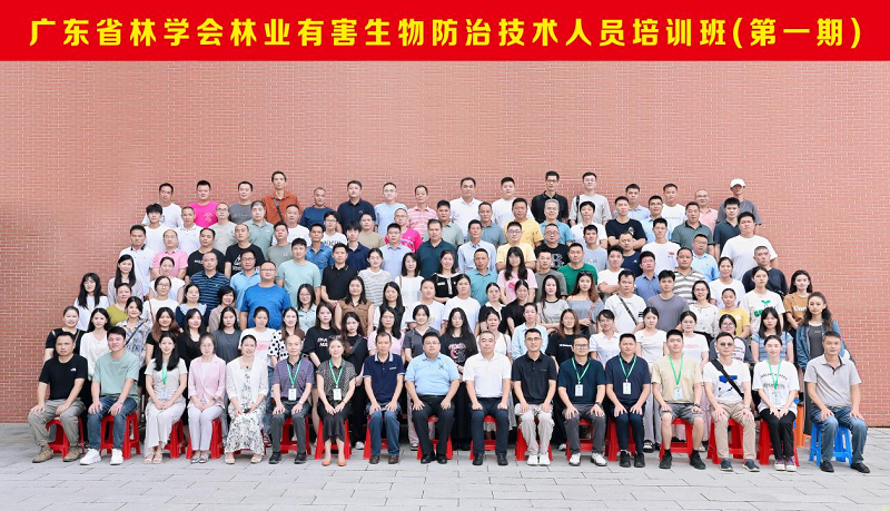 图片11.png