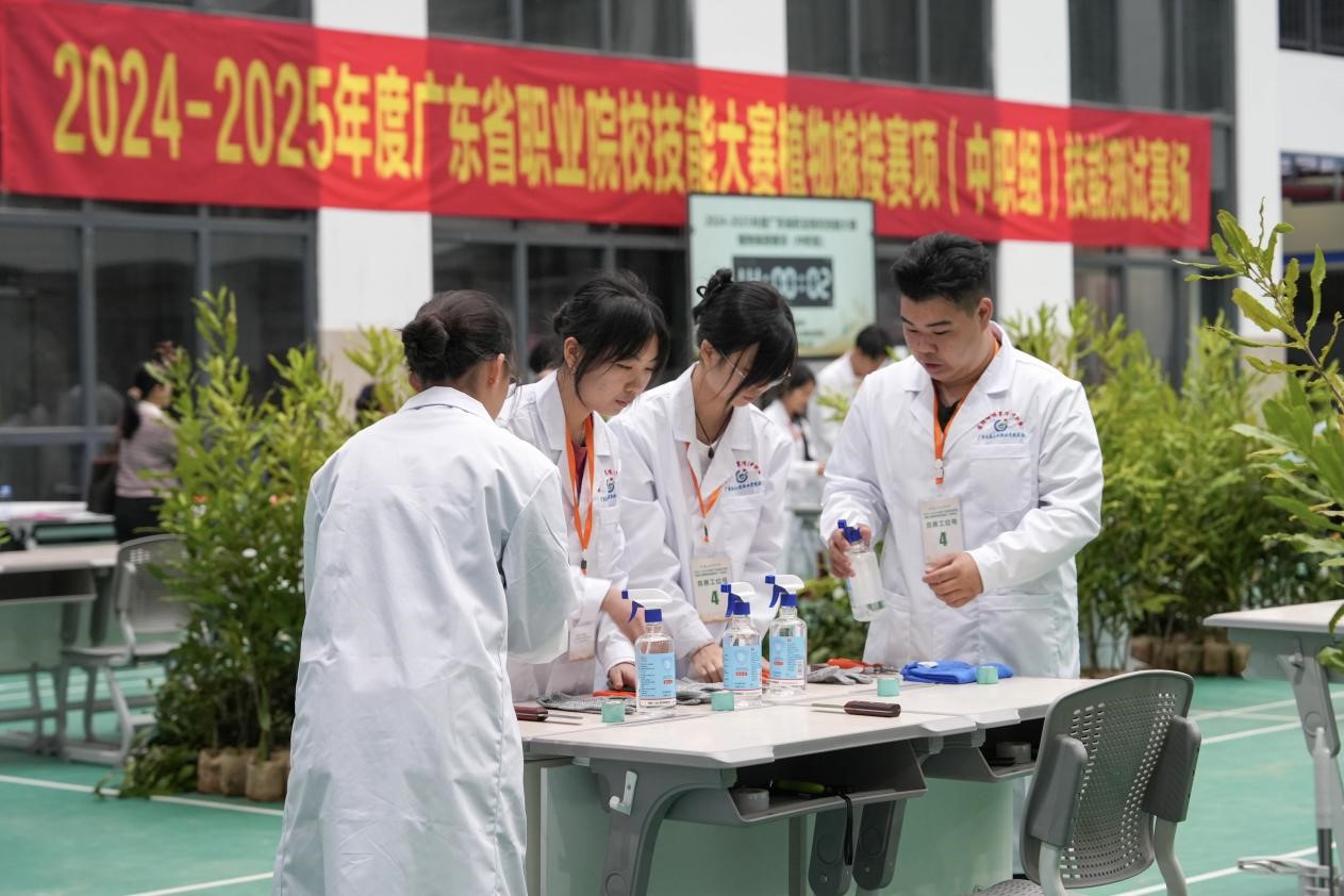 1742403492619.jpg 图片6.jpg