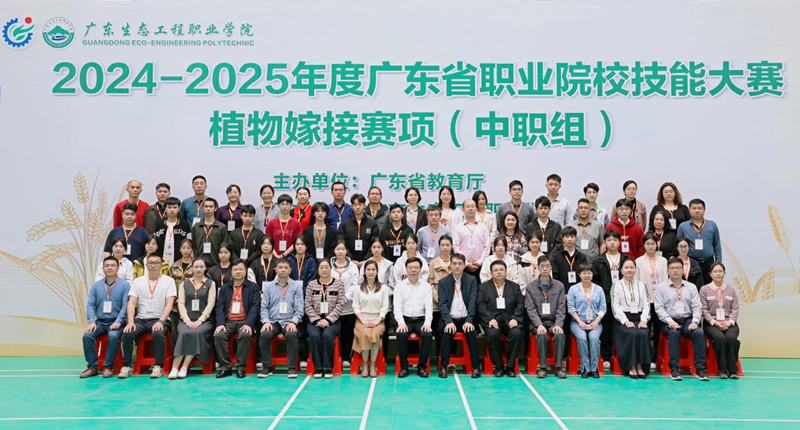 图片29.png
