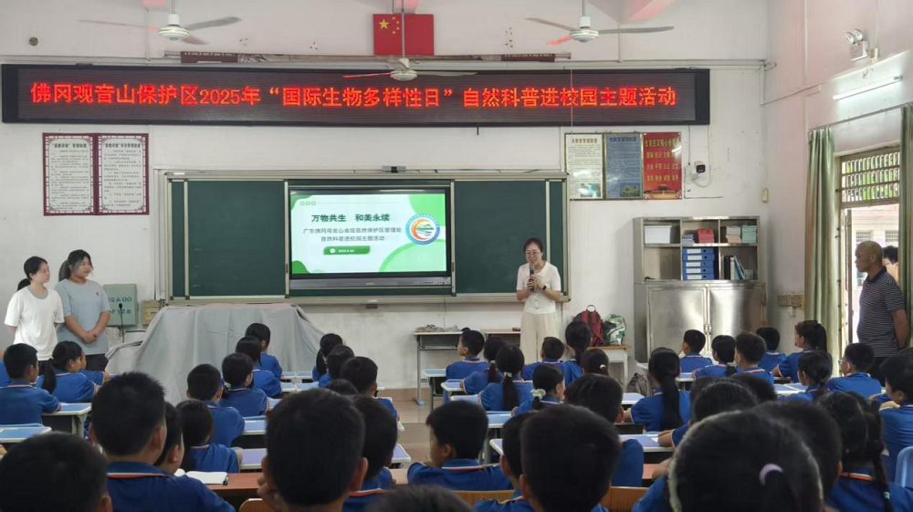 17483098446919.png 图片4.png