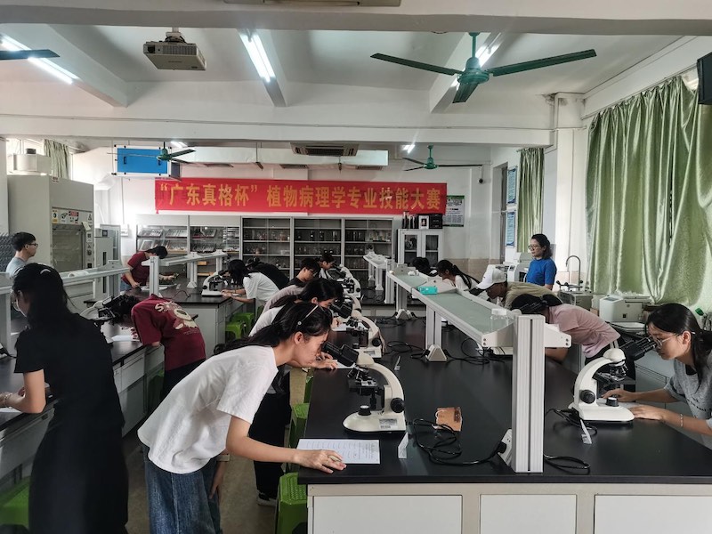 17534193139891.jpeg 图片1.png2.jpeg