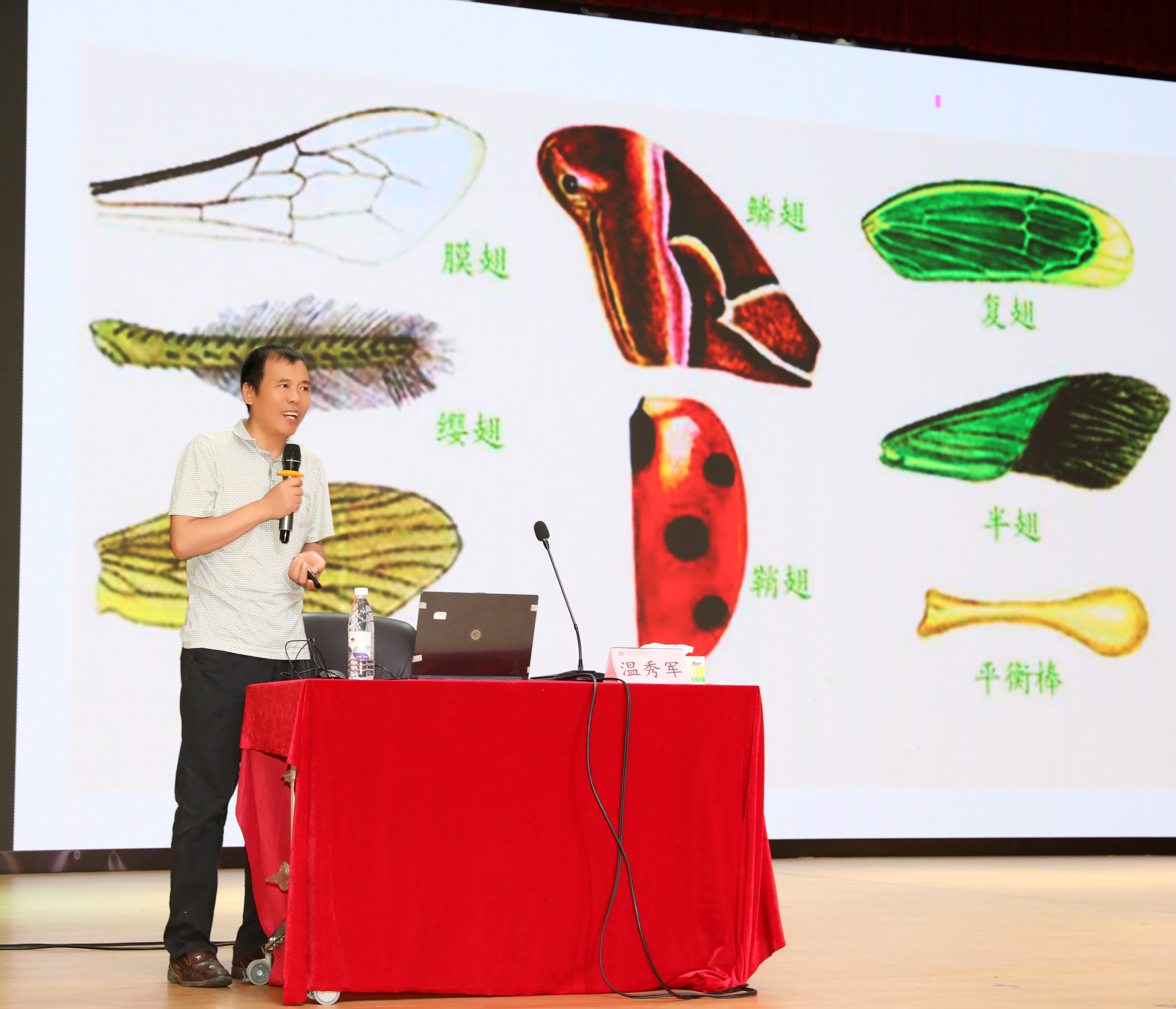 17617035104551.jpg 华南农业大学林学与风景园林学院温秀军教授讲授《林业有害生物基础知识(分类、识别、调查技术)》.jpg