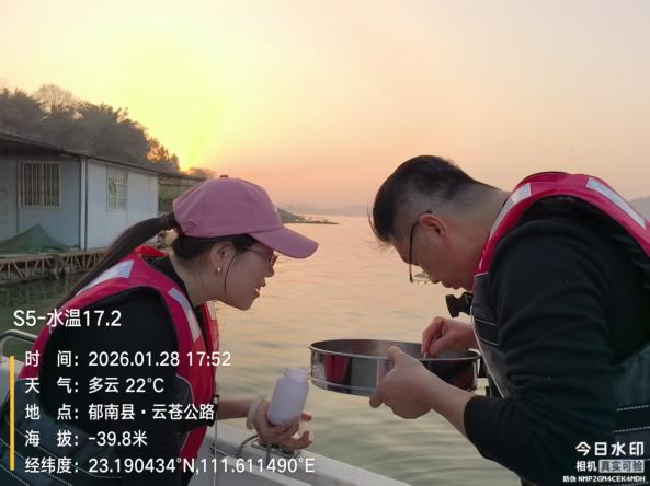 1770356799739.jpg