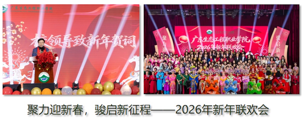 17755300314917.jpeg 图片 9.jpeg