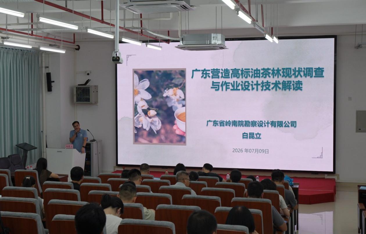 1784030526585.jpg 图片4.jpg