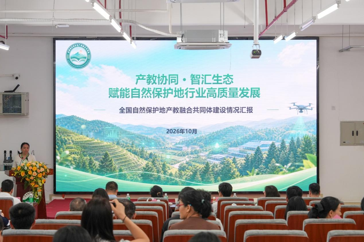 图片 6.png